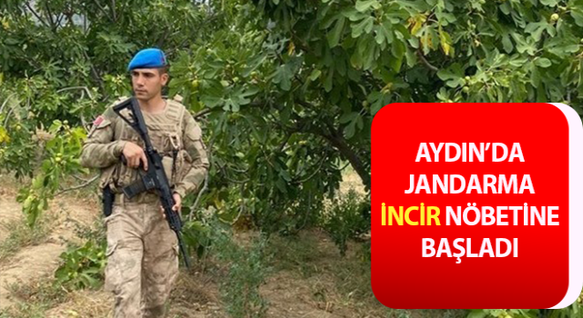 İl genelindeki incir bahçelerine şok baskınlar yapılacak