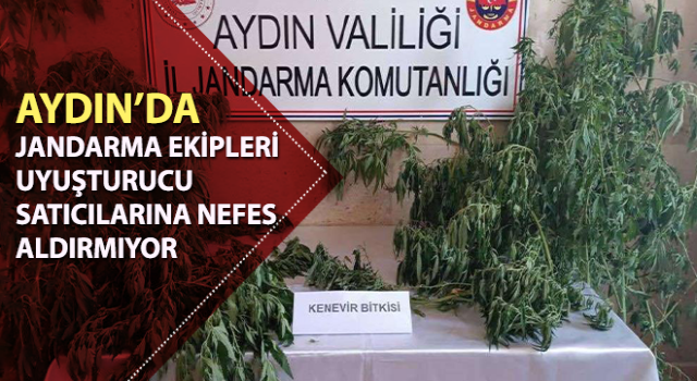 Jandarma uyuşturucu satıcılarına nefes aldırmıyor