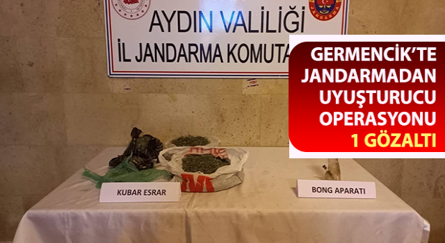 Jandarmadan uyuşturucu baskını: 1 gözaltı