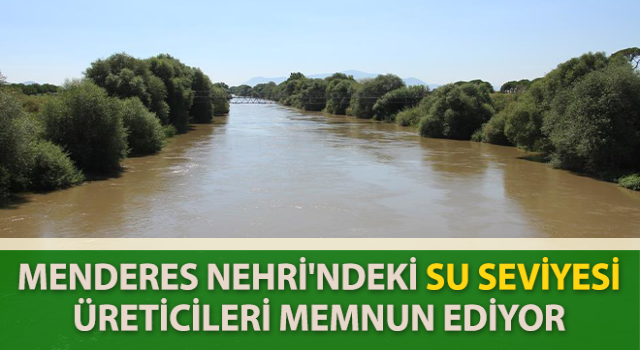 Menderes Nehri'ndeki su seviyesi üreticileri sevindirdi