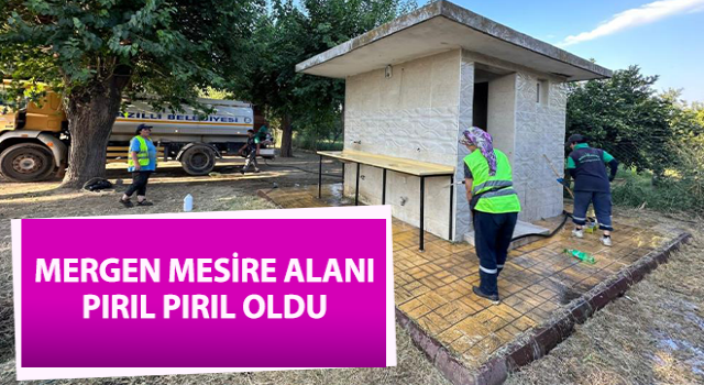 Mergen Mesire Alanı pırıl pırıl oldu