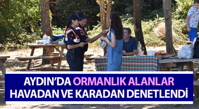 Ormanlık alanlar havadan ve karadan denetlendi