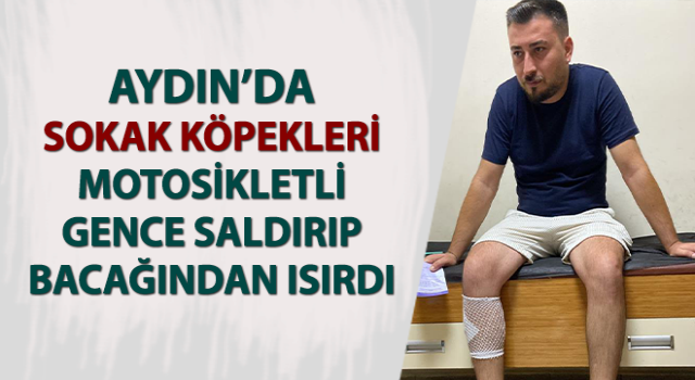 Sokak köpekleri motosikletli gence saldırıp bacağından ısırdı