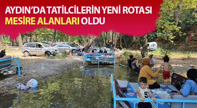 Tatilcilerin yeni rotası mesire alanları oldu