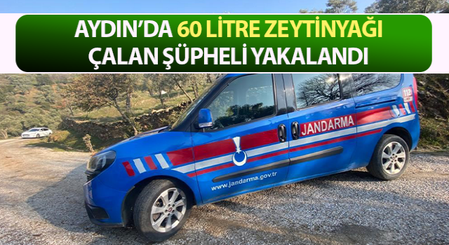 Zeytinyağı hırsızı jandarmadan kaçamadı