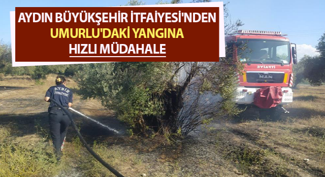 Aydın Büyükşehir İtfaiyesi'nden Umurlu'daki yangına hızlı müdahale