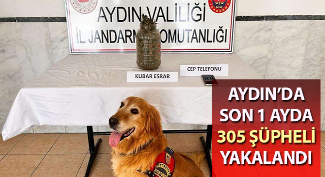 Aydın’da 305 şüpheli yakalandı