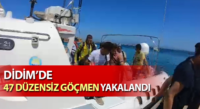 Aydın’da 47 düzensiz göçmen yakalandı