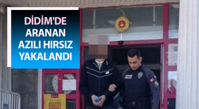 Azılı hırsız saklandığı çatı katında yakalandı