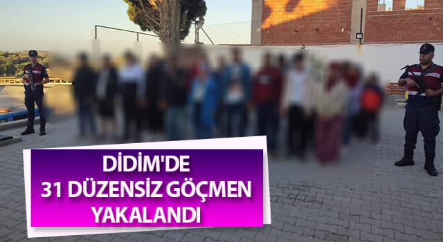 Didim'de 31 düzensiz göçmen yakalandı