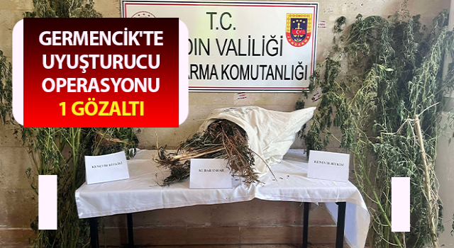 Germencik'te uyuşturucu operasyonu: 1 gözaltı