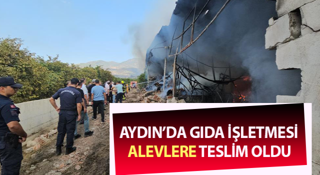 Gıda işletmesi alevlere teslim oldu