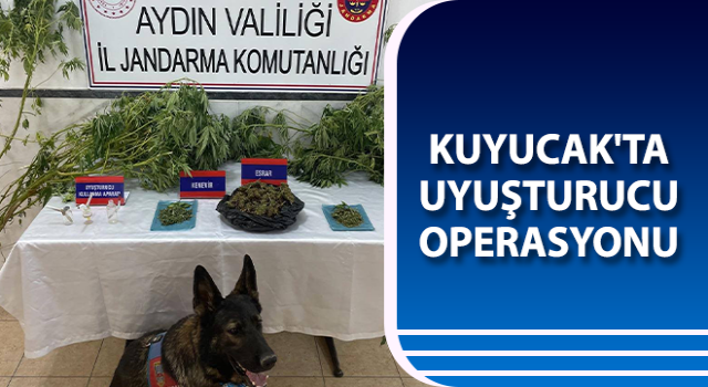 Kuyucak'ta uyuşturucu operasyonu