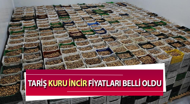 TARİŞ İncir Birliği alım fiyatları belli oldu