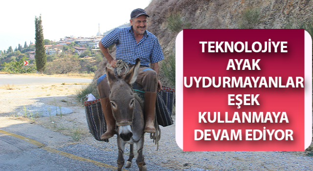 Aydın dağlarında eşekler halen revaçta