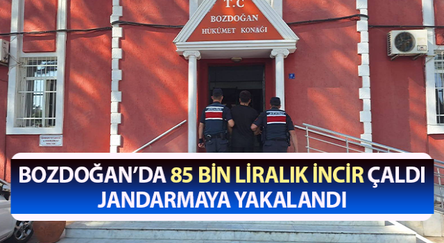 Aydın’da 85 bin liralık incir çalan hırsız yakalandı