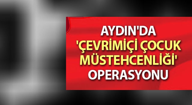 Aydın'da 'çevrimiçi çocuk müstehcenliği' operasyonu