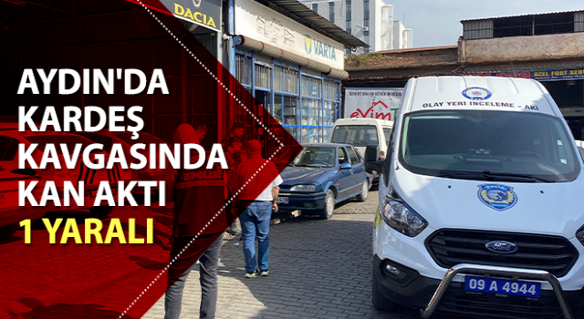 Aydın'da kardeş kavgasında kanlı bitti