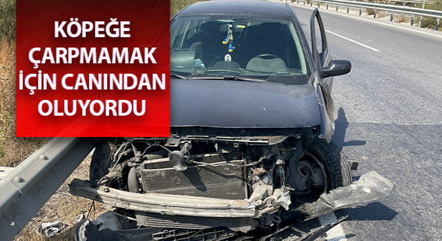 Aydın’da trafik kazası: 1 yaralı