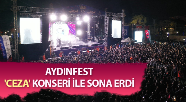 Aydınfest, muhteşem konserlerle sona erdi