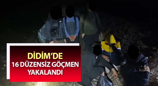 Didim’de 16 düzensiz göçmen yakalandı