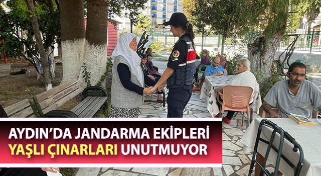 Jandarma ekipleri yaşlı çınarları unutmuyor