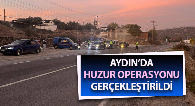 Jandarmadan 10 mahallede huzur operasyonu