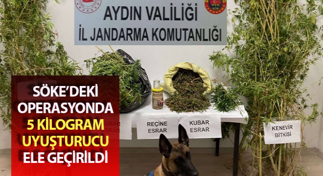 Söke’de uyuşturucu operasyonu