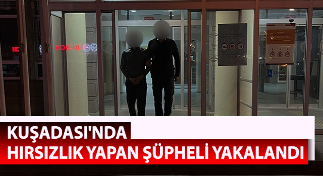 Üç evden hırsızlık yaptı, polis tarafından yakalandı