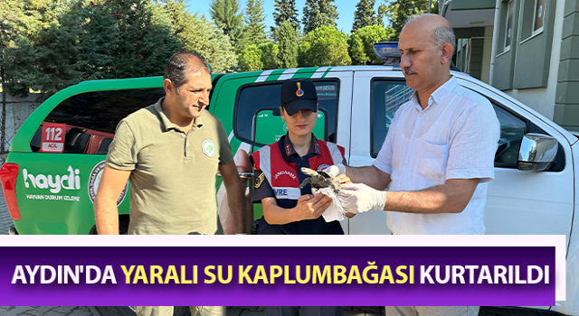 Yaralı su kaplumbağasına jandarma şefkati