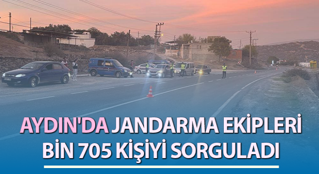 Aydın'da bin 705 kişi sorgulandı