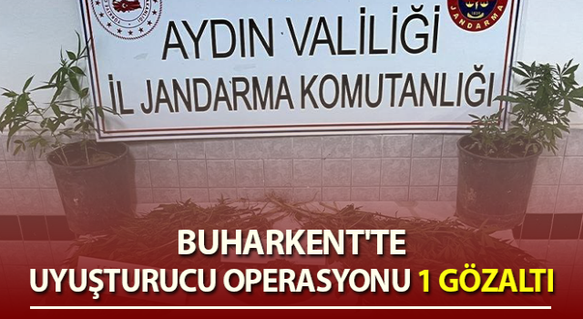 Buharkent'te uyuşturucu operasyonu