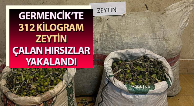 Germencik’te zeytin hırsızları yakalandı