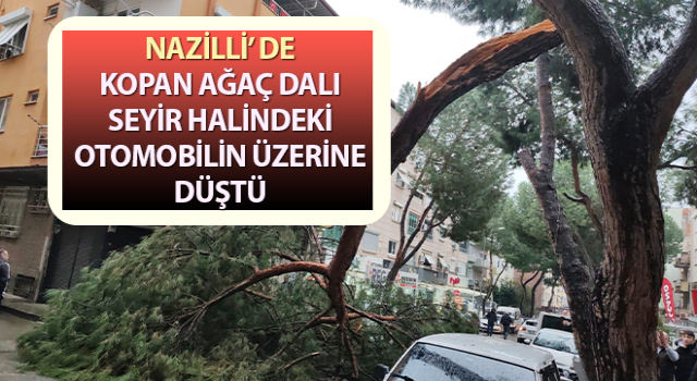 Kopan ağaç dalı seyir halindeki otomobilin üzerine düştü