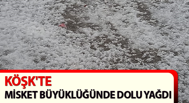 Köşk'te dolu yağışı etkili oldu