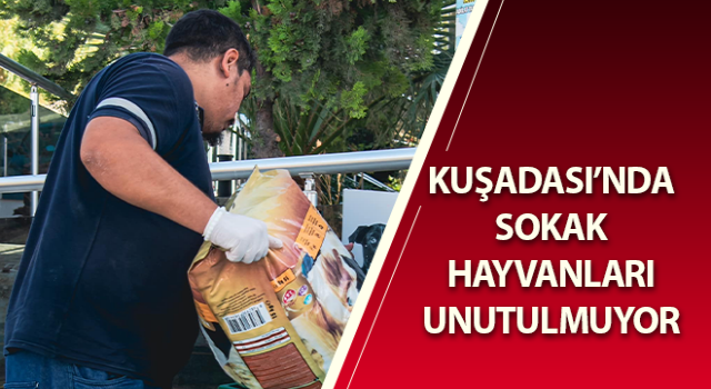 Kuşadası’nda sokak hayvanları unutulmuyor