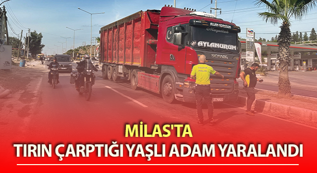 Muğla’da trafik kazası: 1 yaralı