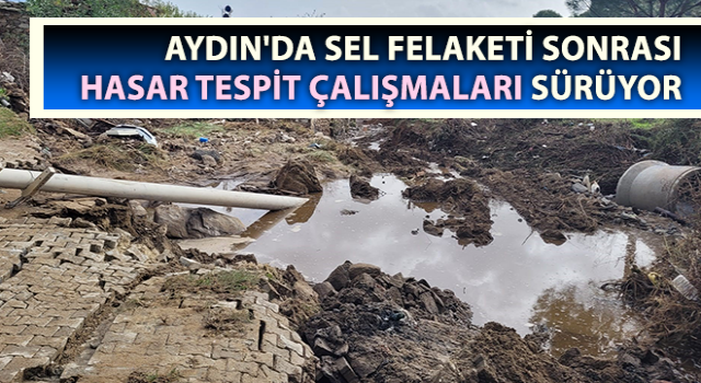 Sel felaketi sonrası bölgede hasar tespit çalışmaları sürüyor