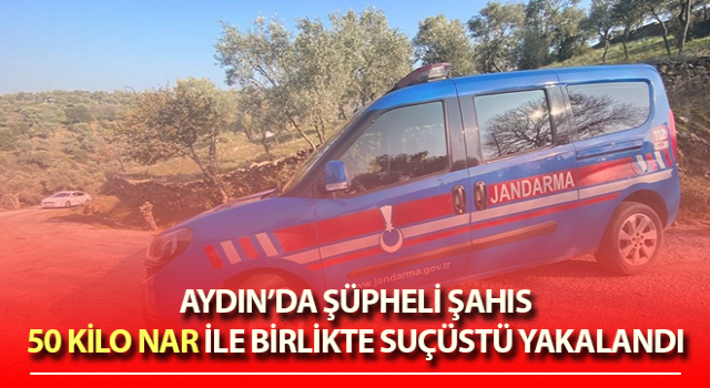 Topladığı 50 kilo nar ile suçüstü yakalandı