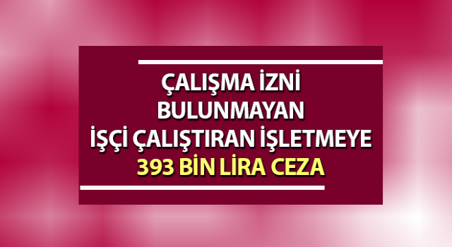 Aydın'da 11 yabancıya çalışma izni olmadığı için ceza