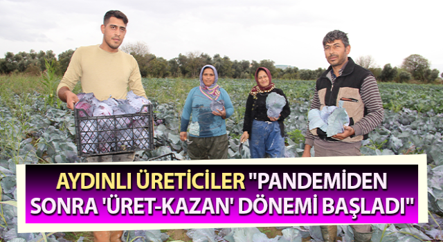 Aydın'da kara lahana hasadı başladı