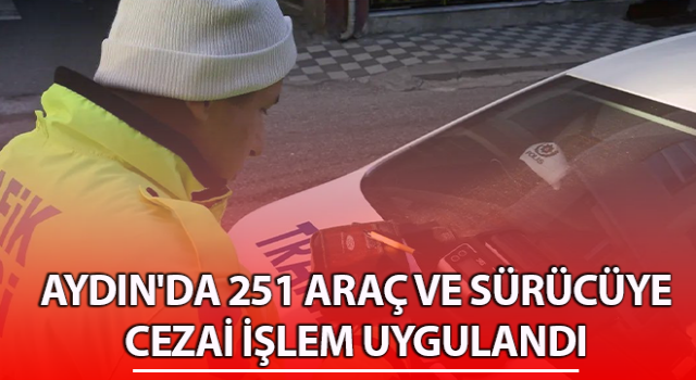 Aydın'da trafik denetimi