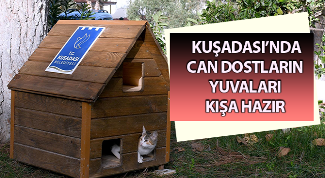 Can dostların yuvaları kışa hazır