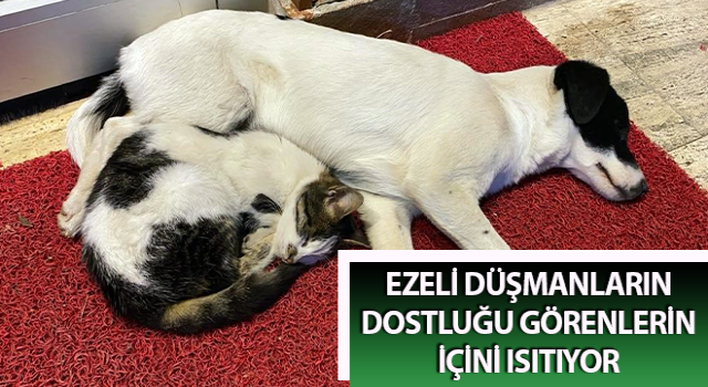 İncirliova’da ezeli düşmanların dostluğu görenlerin içini ısıtıyor