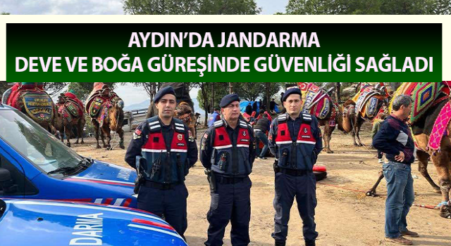 Jandarma deve ve boğa güreşinde güvenliği sağladı