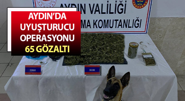 Jandarmadan uyuşturucu operasyonu: 65 gözaltı