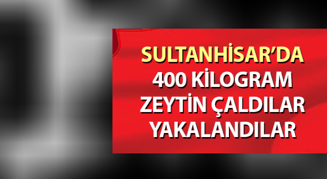 Sultanhisar’da zeytin hırsızları yakalandı