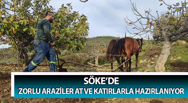 Zorlu araziler at ve katırlarla hazırlanıyor