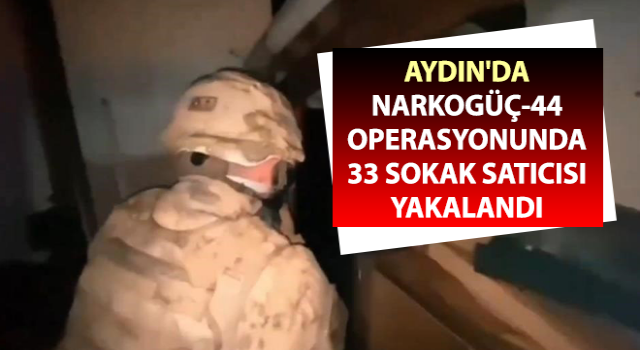 Aydın’da 33 sokak satıcısı yakalandı