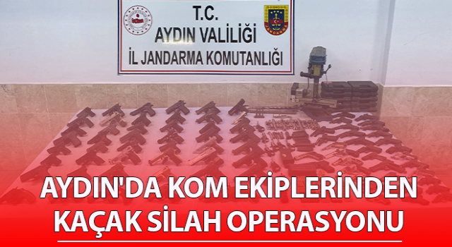 Aydın'da kaçak silah operasyonu